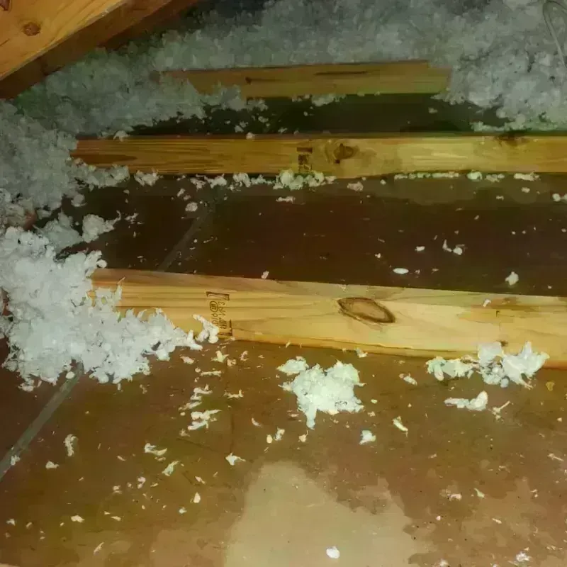 Attic Water Damage in Cajahs Mountain, NC