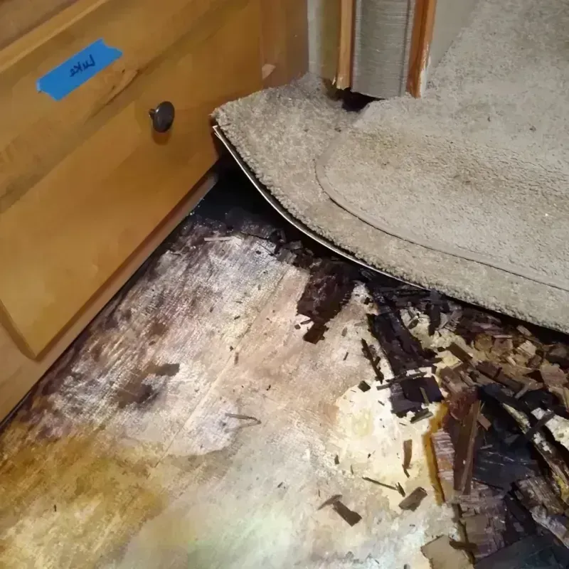 Wood Floor Water Damage in Cajahs Mountain, NC